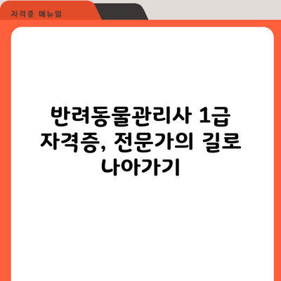반려동물관리사 1급 자격증, 전문가의 길로 나아가기