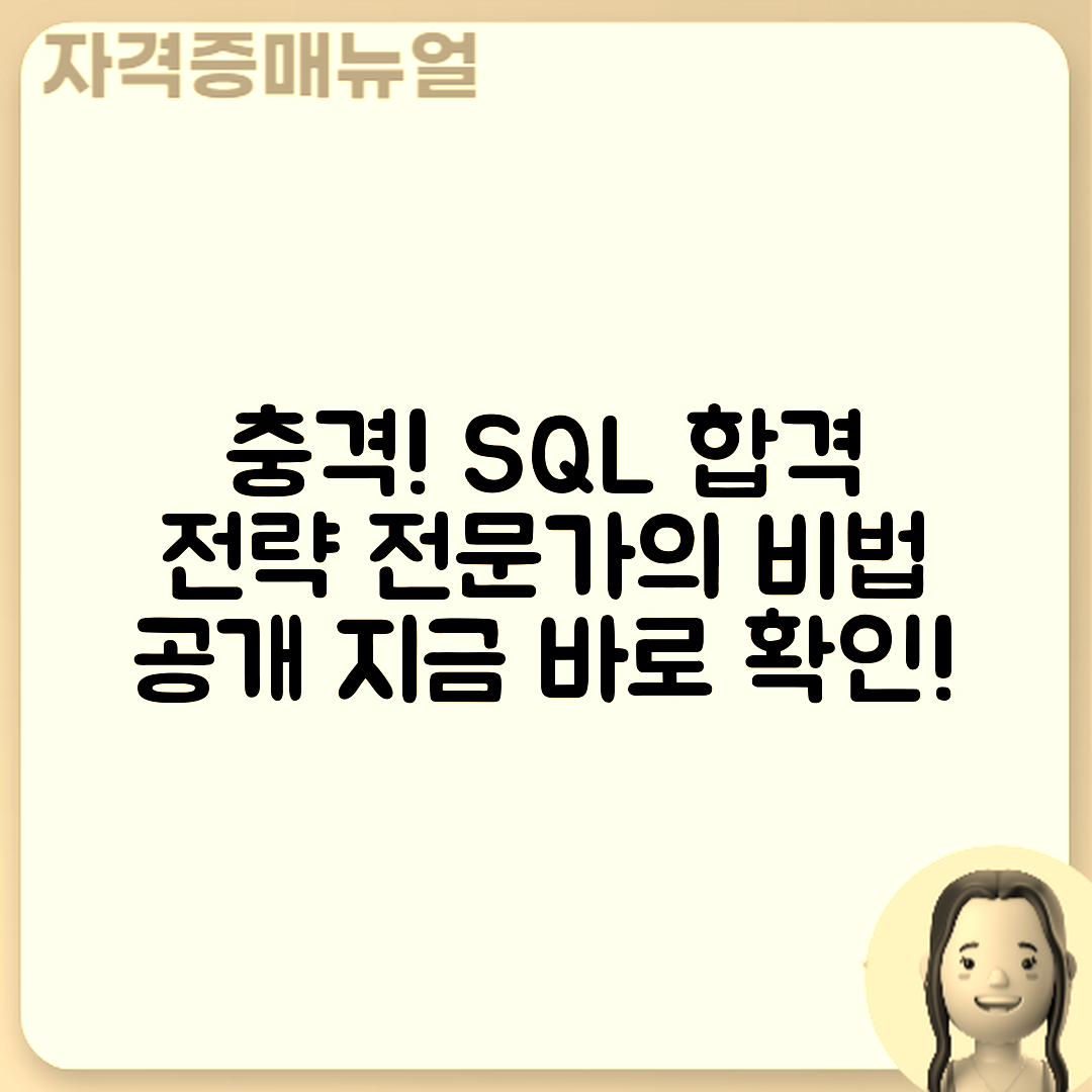 충격적인 SQL 전문가 자격증 합격 전략!